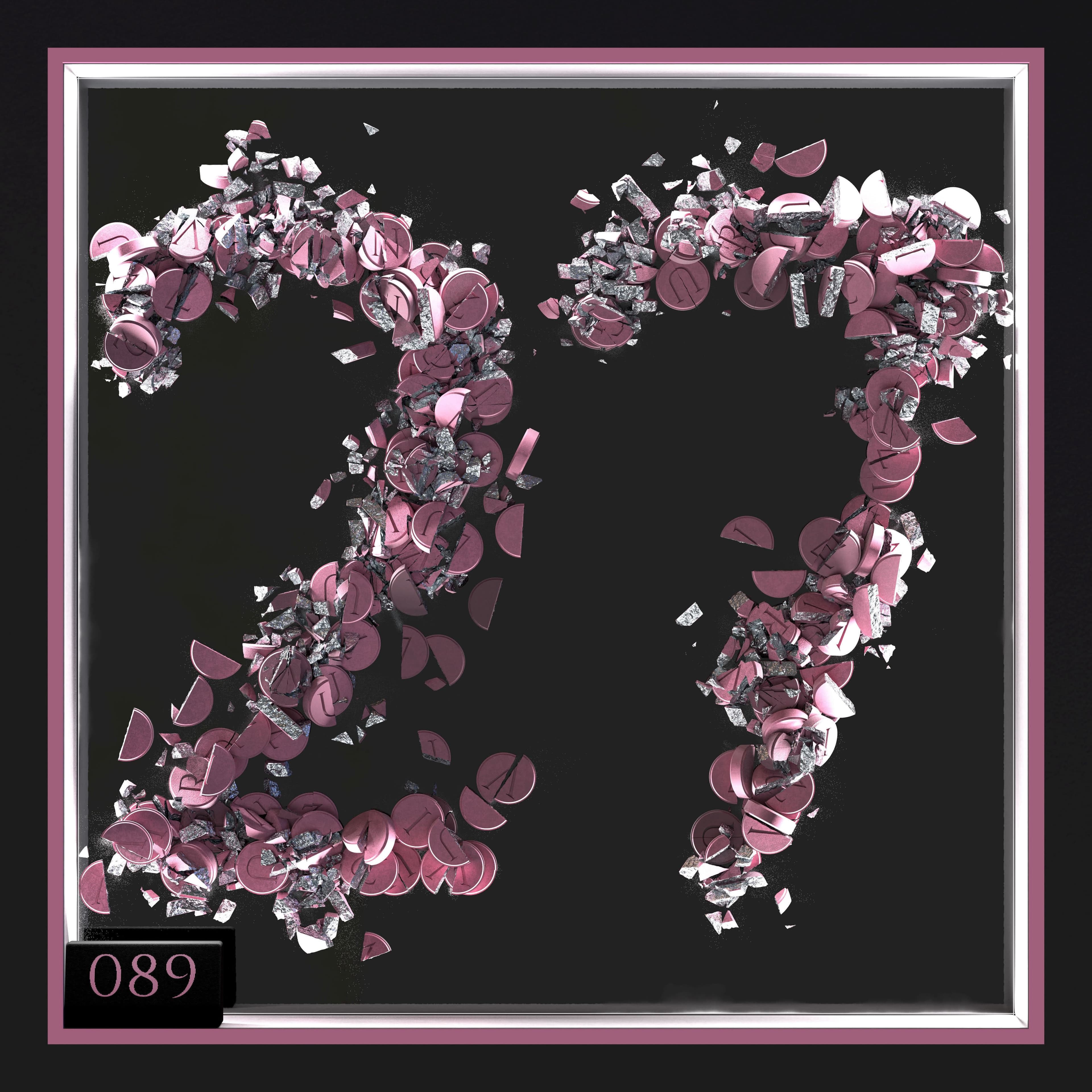 Surviving 27 - Edition 089 cover